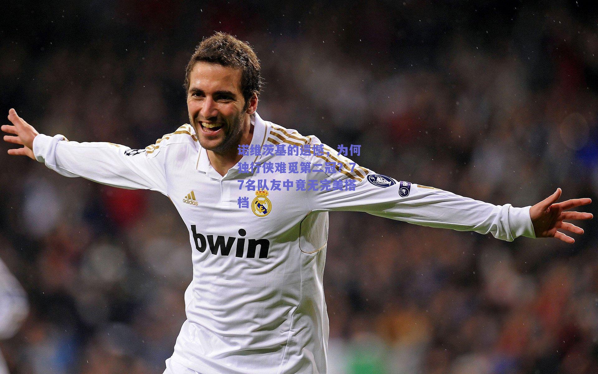 诺维茨基的遗憾，为何独行侠难觅第二冠？77名队友中竟无完美搭档